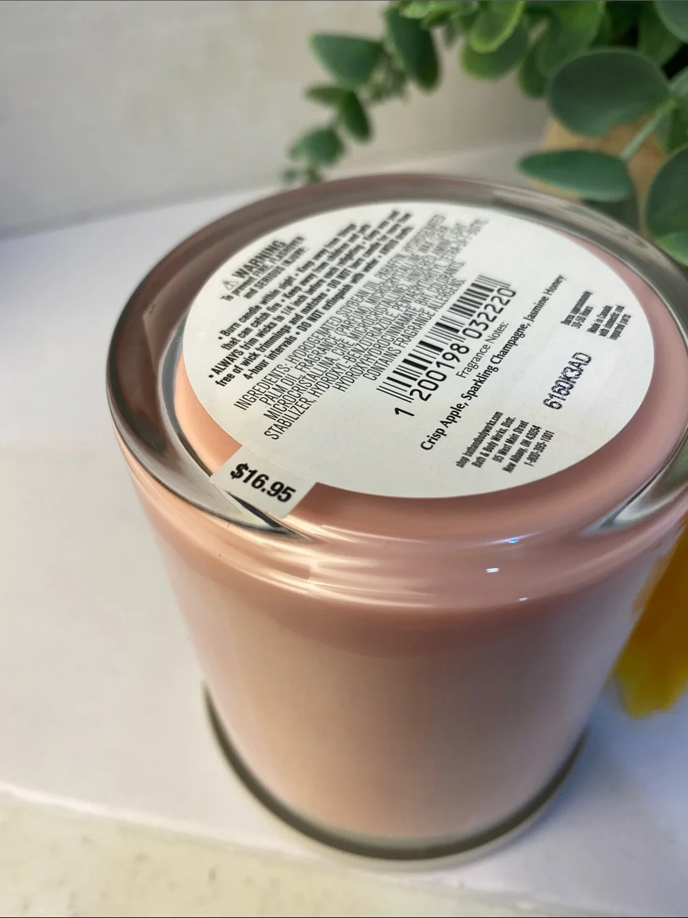“Champagne Apple & Honey” Bath & Body Works New Single Wick Candle